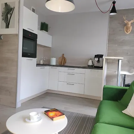 Apartment Manhattan W Gorach Radosci *